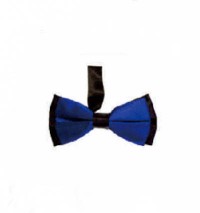 BT021 design two color matching tie for men and women bridegroom's best man evening performance collar tie manufacturer detail view-3